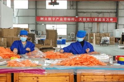 天貓雙11開門紅 產(chǎn)業(yè)帶爆發(fā)式增長，7個產(chǎn)地首小時銷售額破億，日用百貨引領消費熱潮